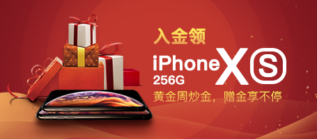 入金领iPhone  XS